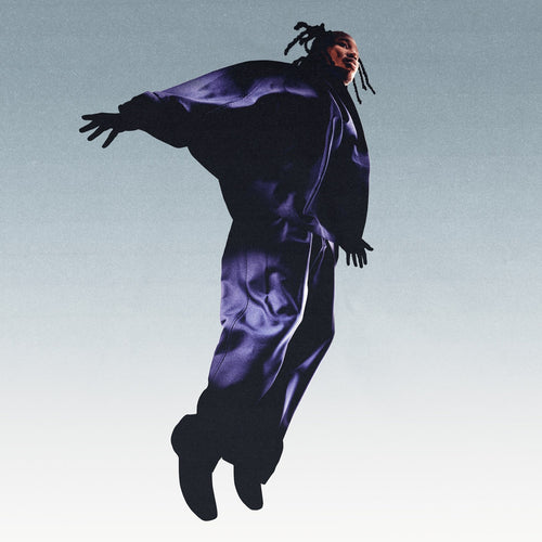 Mavi - The Pilot [Dark Purple Vinyl] Vinyl