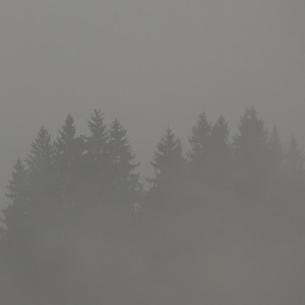 MAX LODERBAUER - Donnerwetter Vinyl LP