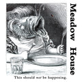 MEADOW HOUSE - This Should Not Be Happening Vinyl LP