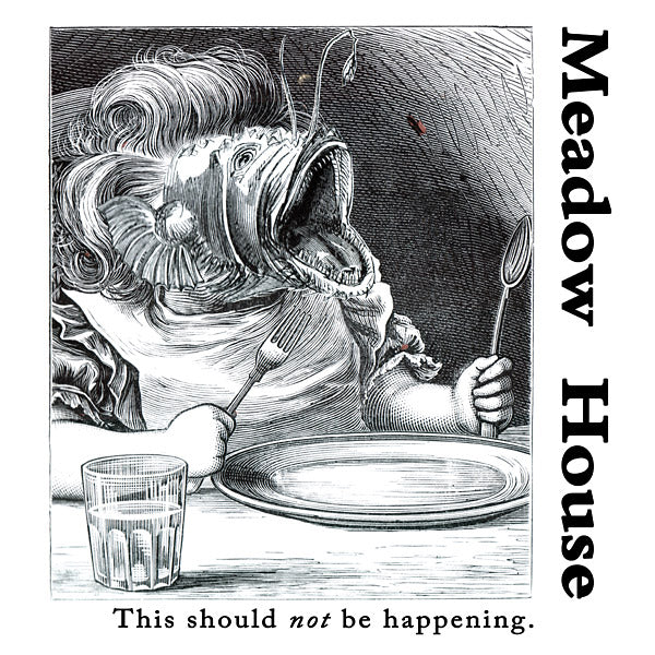 MEADOW HOUSE - This Should Not Be Happening Vinyl LP