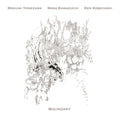 MEGUMI YONEZAWA/MASA KAMAGUCHI/KEN KOBAYASHI - Boundary CD CD