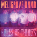 Meligrove Band - Bones of Things Vinyl LP