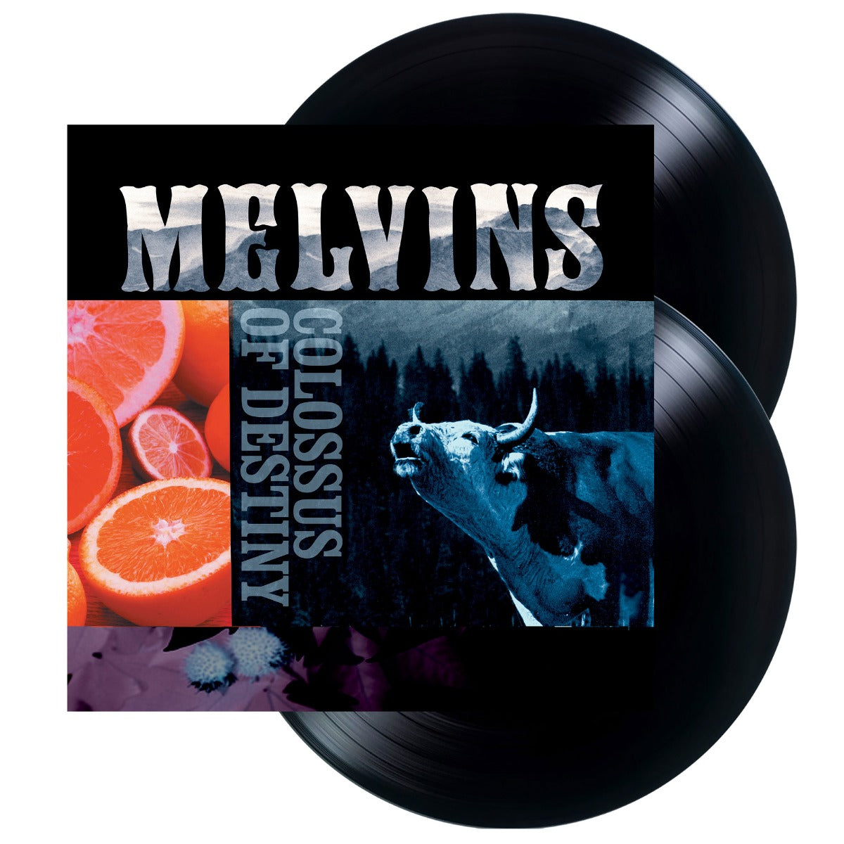 MELVINS - Colossus Of Destiny (2LP Vinyl Reissue) Vinyl