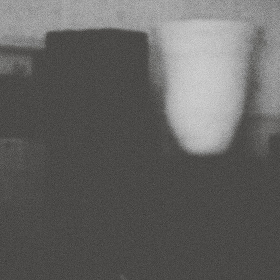 Merzbow - The Misfortune Of Virtue The Prosperity Of Vice CD
