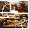 MERZBOW/GENESIS BREYER P-ORRIDGE - A Perfect Pain CD CD