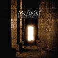 MESEKTET - Towards a Bleak Sun CD CD