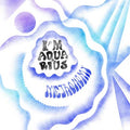 Metronomy - I'm Aquarius Vinyl 12"