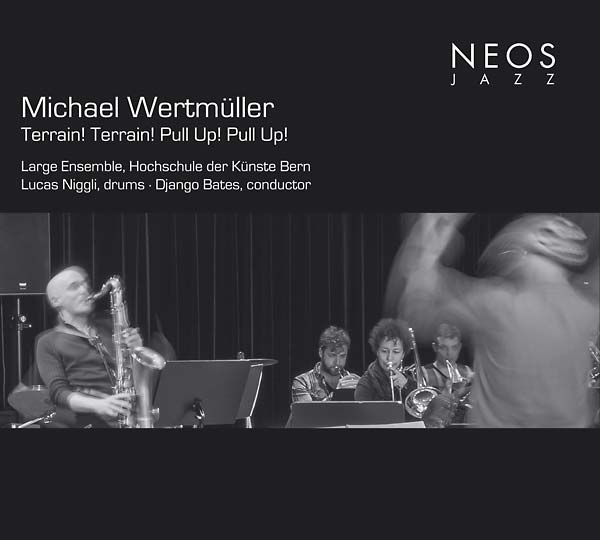 MICHAEL WERTMULLER - Terrain! Terrain! Pull Up! Pull Up! CD CD