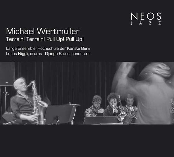 MICHAEL WERTMULLER - Terrain! Terrain! Pull Up! Pull Up! CD