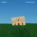 Michigander - Over Before You Know It [Black] Vinyl