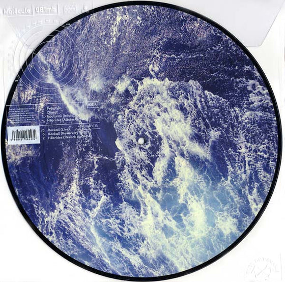MOLECULE - 981 MB Vinyl 12"/PIC DISC