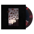 Moneen - Are We Really Happy With Who We Are Right Now? [Black/Grey/Red Merge] [2LP] Vinyl
