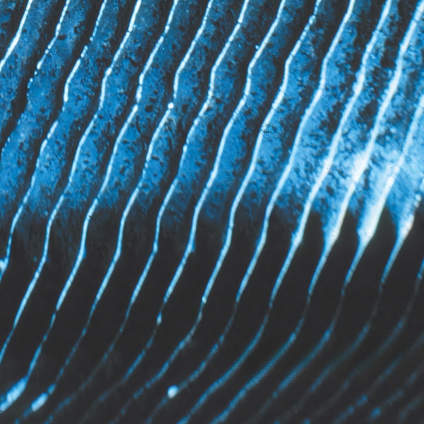 MONOLAKE - Gravity Vinyl 2LP
