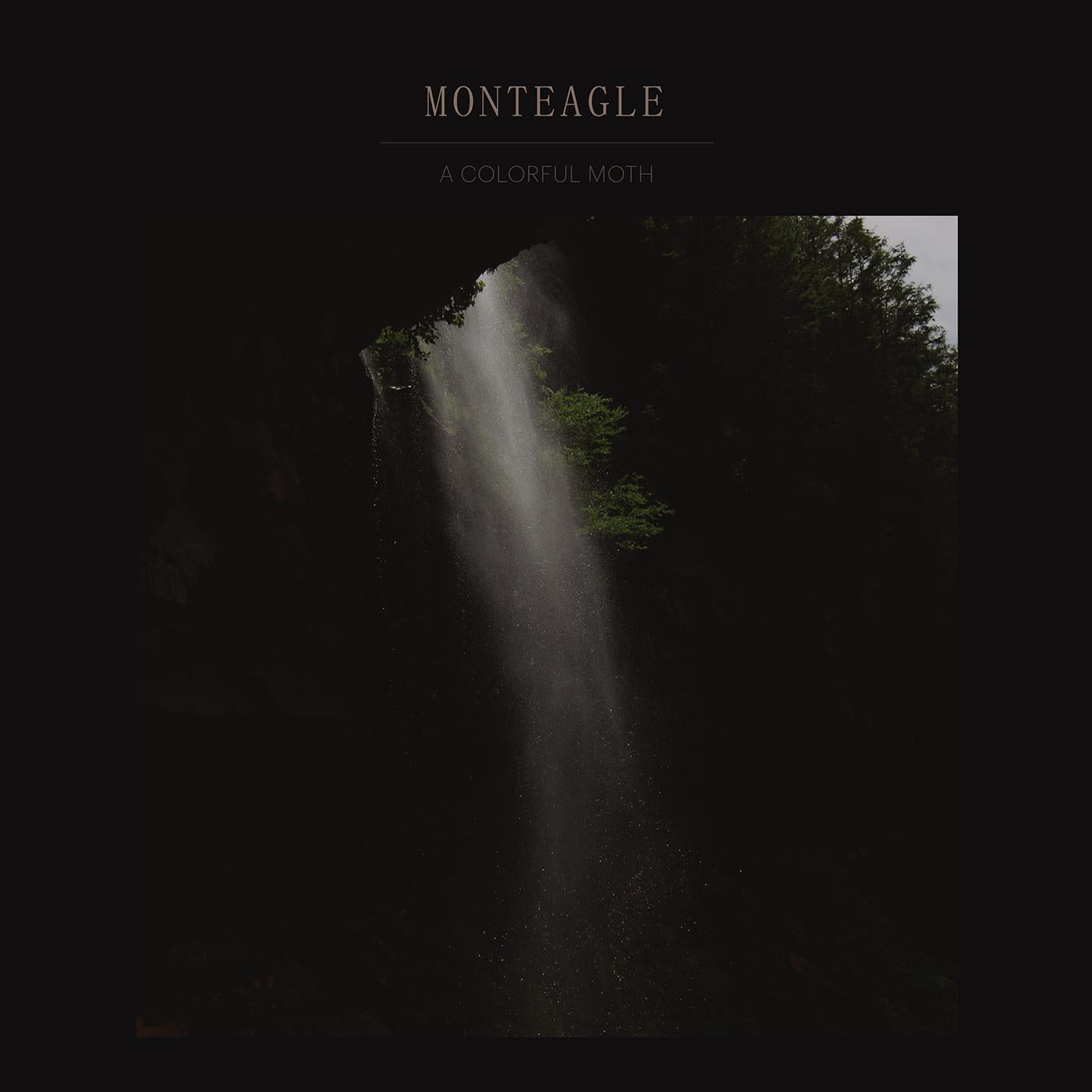 Monteagle - A Colorful Moth Vinyl 12" Vinyl