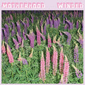 Motherhood - Winded (OPAQUE PURPLE VINYL) Vinyl LP Opaque purple vinyl (Lupin special edition)