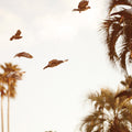 MOTOHIKO HAMASE - Intaglio Vinyl LP
