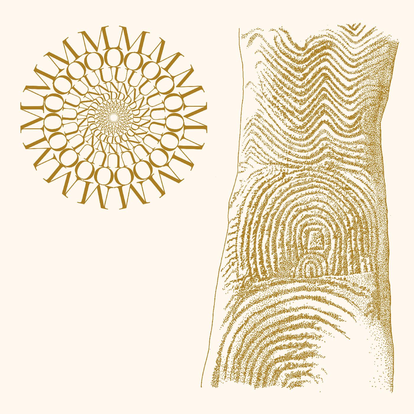 Moundabout - Flowers Rot, Bring Me Stones (BROWN & CLEAR SPECKLE VINYL) Vinyl LP BROWN & CLEAR SPECKLE VINYL
