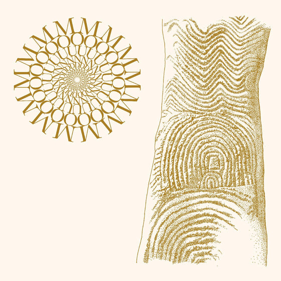 Moundabout - Flowers Rot, Bring Me Stones (BROWN & CLEAR SPECKLE VINYL) Vinyl LP BROWN & CLEAR SPECKLE VINYL