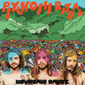 MOUNTAIN TAMER - Psychosis Ritual Vinyl LP