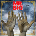 Mr Big - Ten Vinyl