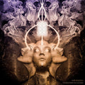 MR. BISON - Echoes From The Universe CD CD