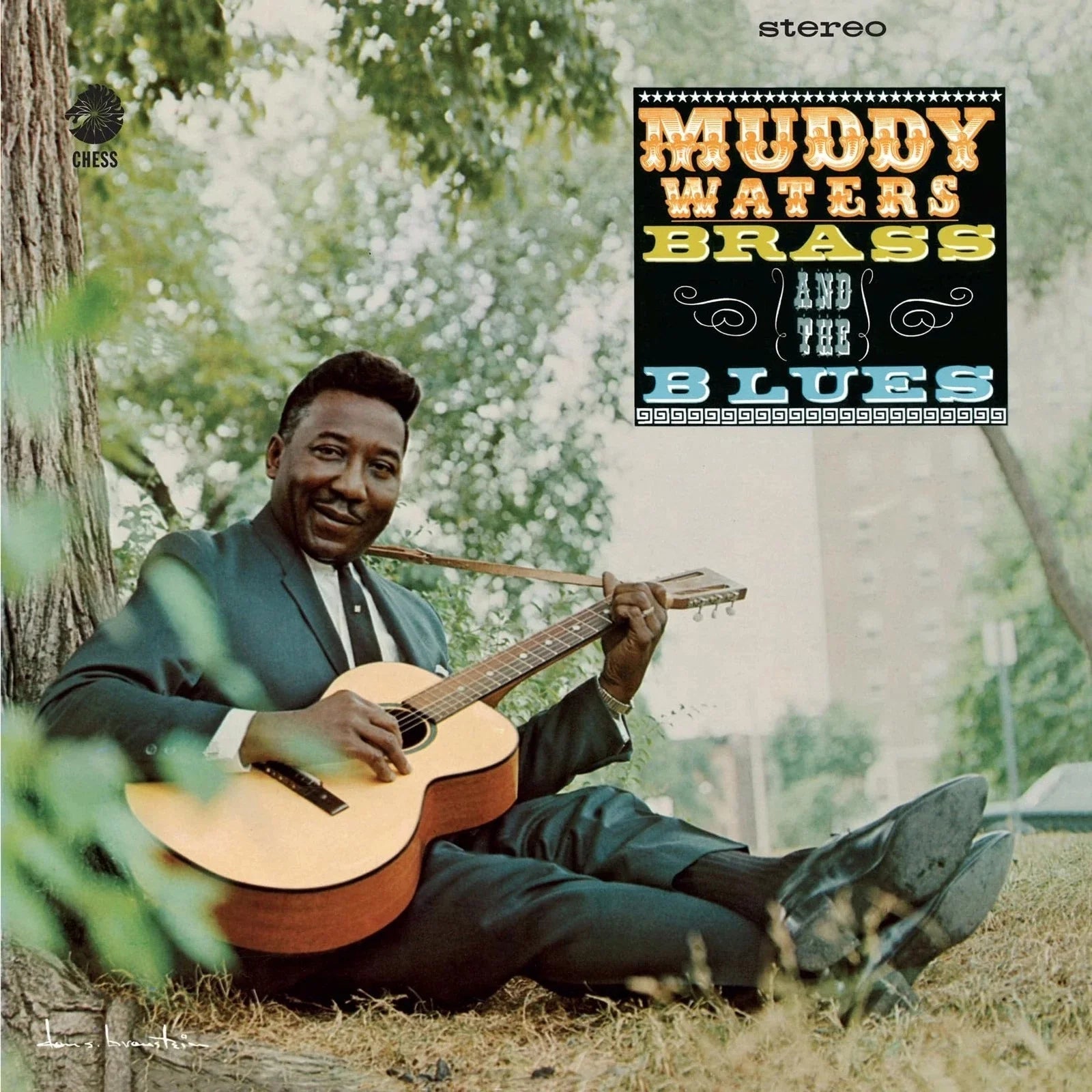 Muddy Waters - Muddy, Brass And The Blues (Chess Acoustic Sounds Series) [180G LP] Vinyl