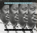 Muddy Waters - Portraits: Muddy Waters CD CD
