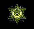 MUSLIMGAUZE - Muhammadunize Vinyl 2LP