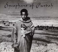 MUSLIMGAUZE - Sycophant of Purdah CD CD