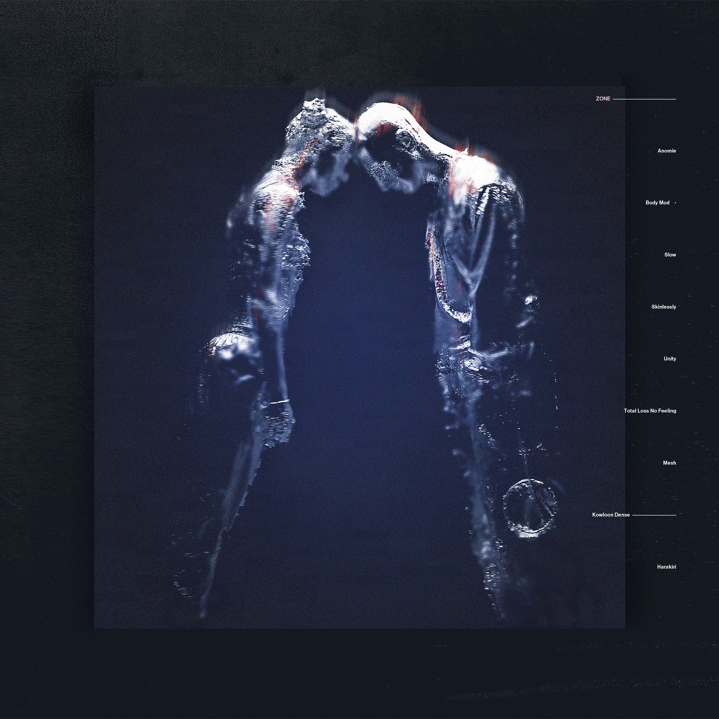 Naked - Zone Vinyl LP w/ DL