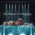 Naomi Sharon - No Sleep In Paradise (Limted Edition Poster) [Ultra Clear] [2LP] Vinyl