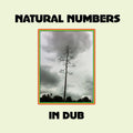Natural Numbers - Natural Numbers in Dub Vinyl LP