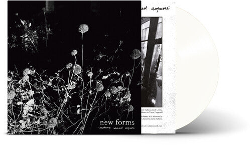 New Forms - Nothing'S Sacred Anymore [Clear Vinyl] Vinyl