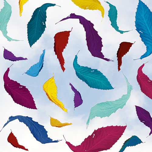 New Order - True Faith Remix (2023 Remaster) Vinyl