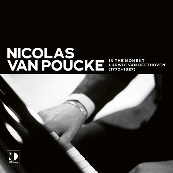 NICOLAS VAN POUCKE - In The Moment Vinyl LP