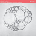 NIELS LYHNE LOKKEGAARD & QUATUOR BOZZINI - Colliding Bubbles CD CD