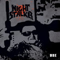 NIGHTSTALKER - Use Vinyl 2LP