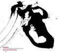 NIKLAS FITE & GUNTER CHRISTMANN - insisting CD CD