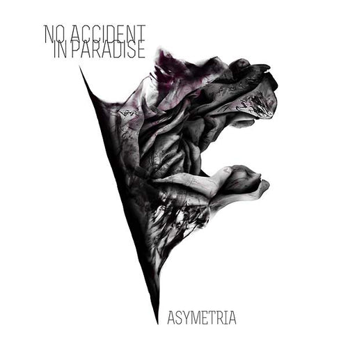 NO ACCIDENT IN PARADISE - Asymetria CD CD