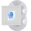 Noah Gundersen - A Pillar of Salt (Limited Edition, Transparent Clear Vinyl) (2 Lp's) Vinyl