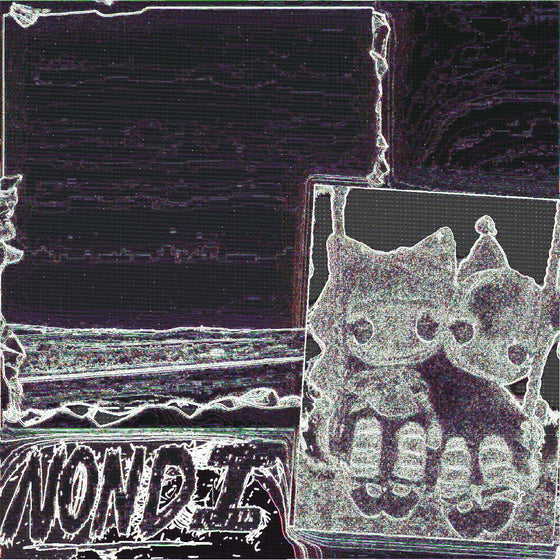 Nondi_ - Nondi... Vinyl