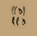 NORMAL BRAIN - Lady Maid CD CD