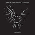 North Mississippi Allstars - Set Sail ("GOTHAM" COLOR VINYL) Vinyl LP Limited Edition, Unique Cover/Packaging, Gotham color vinyl, Download Code featuring 2 bonus trac