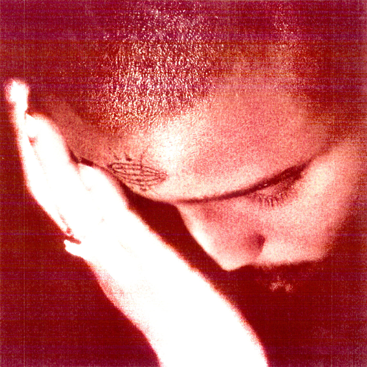 Nourished by Time - The Passionate Ones CD