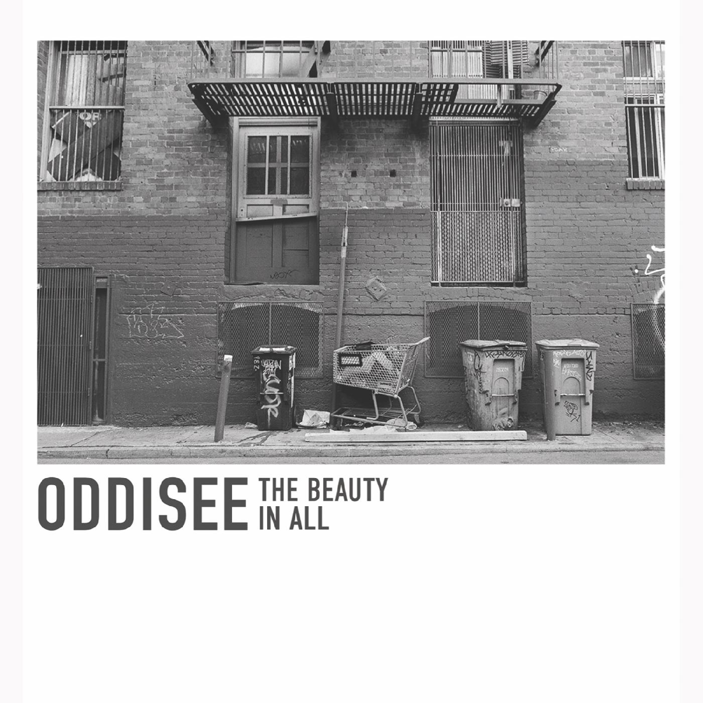 Oddisee - The Beauty In All (WHITE VINYL) Vinyl LP White Vinyl, Alternate Cover Art