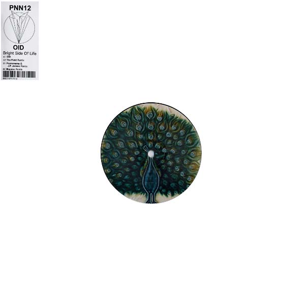 OID - Bright Side of Life Vinyl 12"