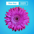 Opus Iii - Fine Day Xxiv Vinyl 12"