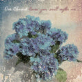 ORA CLEMENTI - Cover you will softer me Vinyl LP