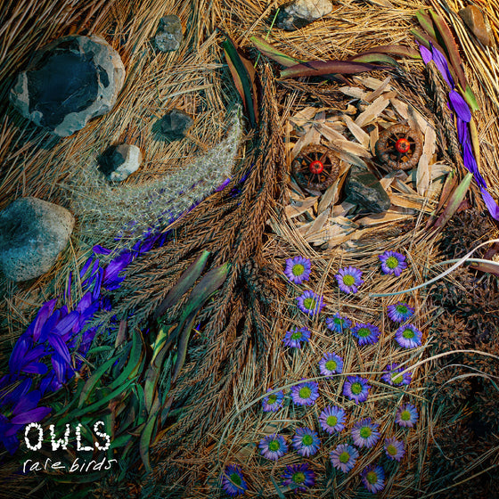 Owls - Rare Birds Vinyl