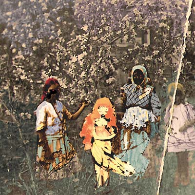 PAAVOHARJU - Laulu Laakson Kukista CD